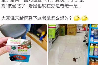 超市抓老鼠是什么工作