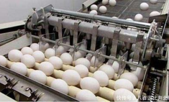 超市鸡蛋如何长途运输