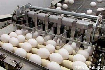 超市鸡蛋如何长途运输