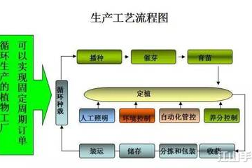 超市货架管理流程详细介绍