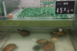 巴西水产超市叫什么来着