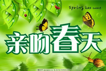 五一蜗牛在超市买什么