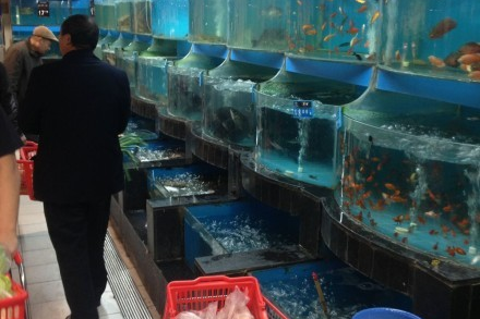 超市水产什么卖得好