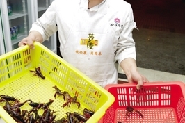 靖江哪里超市龙虾便宜