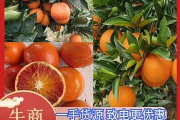 超市如何介绍血橙的特点