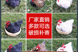 超市什么牌子的母鸡