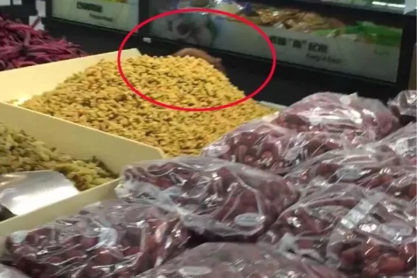 无锡超市老鼠店在哪里