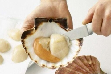超市买的扇贝肉如何清洗