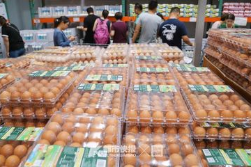 焦作鸡蛋超市在哪里啊