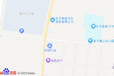 东平新开的超市在哪里