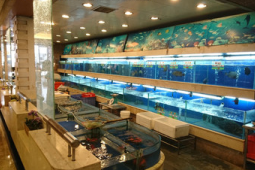 海鲜区选购指南