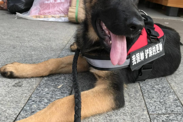 饼干如何跑小超市买卖