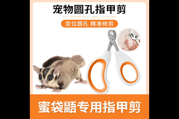 宠物医疗护理体验区