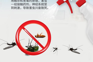 高邮超市灭蟑螂收费吗
