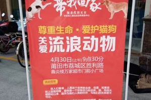 如何带宠物去超市买猫狗