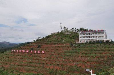 田阳家乐福超市在哪里