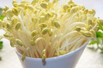为什么超市买豆芽便宜