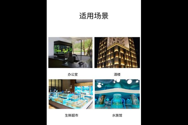 生鲜区水族馆生态展示