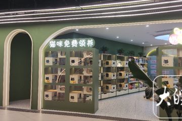 合肥超市猫粮店在哪里