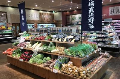 蔬菜超市如何吸引人气