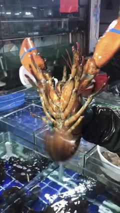 合力超市有什么龙虾