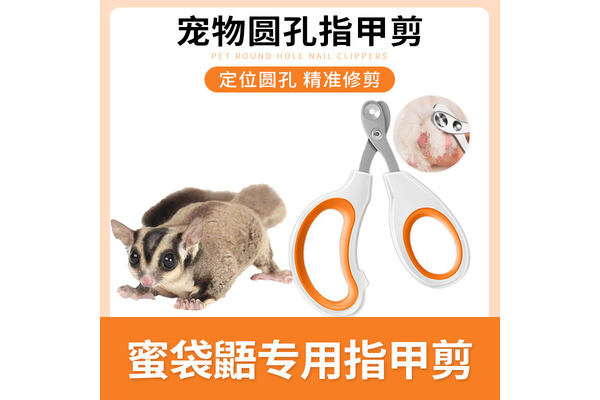 宠物医疗护理体验区