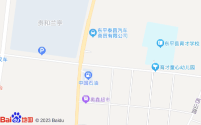 东平新开的超市在哪里