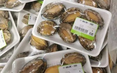 超市有冷冻鲍鱼吗能吃吗