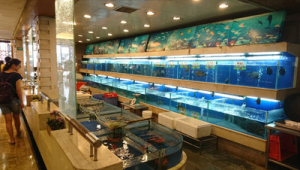 海鲜区选购指南
