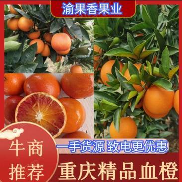 超市如何介绍血橙的特点