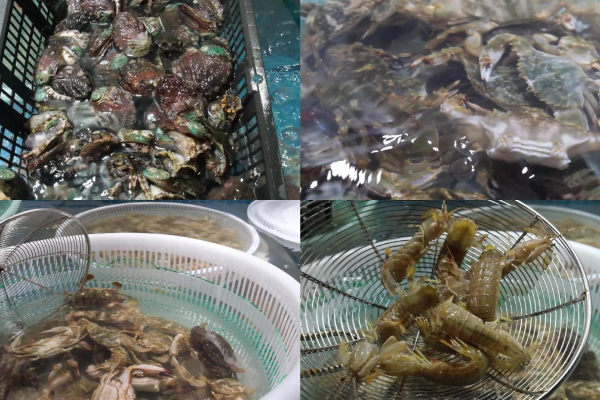 海鲜区活体展示水箱维护