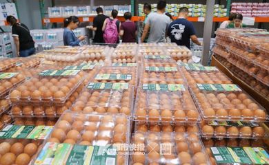 焦作鸡蛋超市在哪里啊