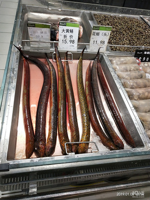 北京什么超市卖鳝鱼