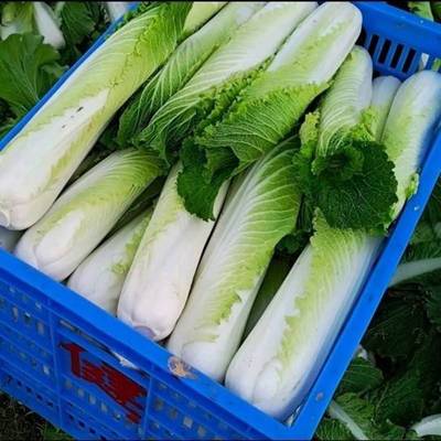 洛龙区绿叶超市在哪里