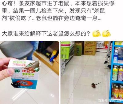 超市抓老鼠是什么工作