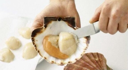超市买的扇贝肉如何清洗