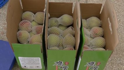 山姆超市韶关有吗