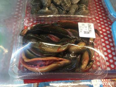 超市里如何买好的泥鳅呢