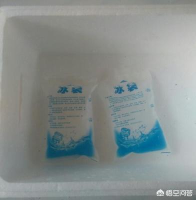 超市可以买冰袋吗