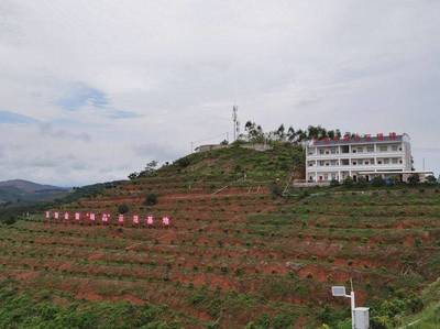 田阳家乐福超市在哪里