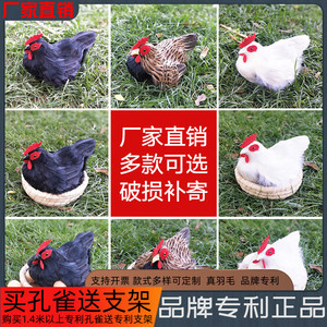 超市什么牌子的母鸡