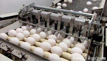 超市鸡蛋如何长途运输
