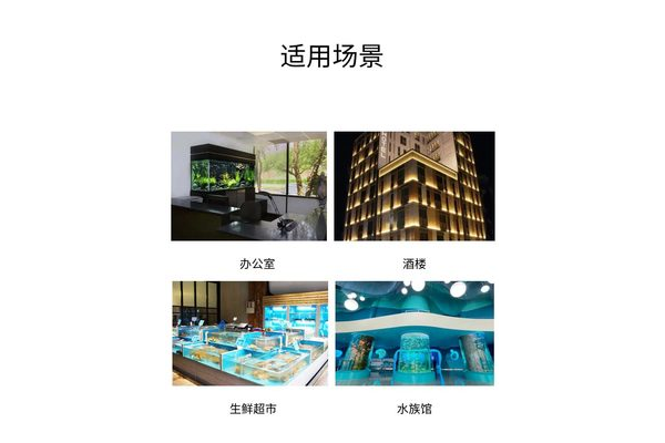 生鲜区水族馆生态展示