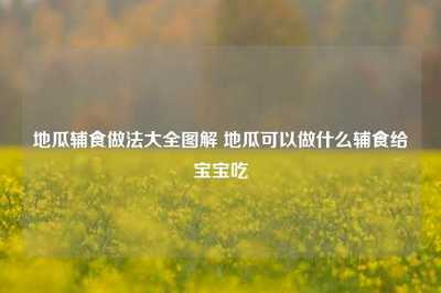 超市番薯可以做什么