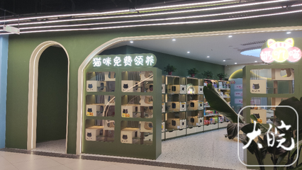 合肥超市猫粮店在哪里